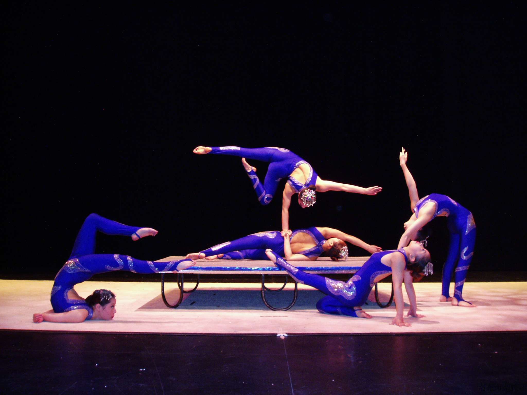 全站搜索 搜索 在线联系 南充杂技演艺公司 五人柔术